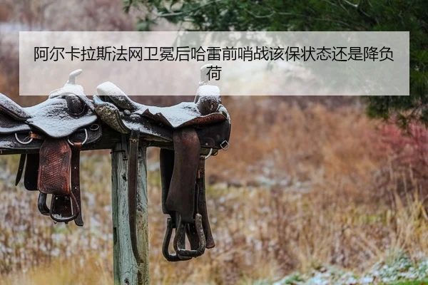 a-er-ka-la-si-fa-wang-wei-mian-hou-ha-lei-qian-shao-zhan-gai-bao-zhuang-tai-hai-shi-jiang-fu-he-2-446.jpg