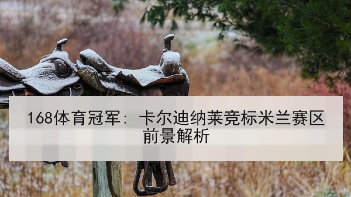 168体育冠军: 卡尔迪纳莱竞标米兰赛区前景解析 168体育冠军: 卡尔迪纳莱竞标米兰赛区前景解析