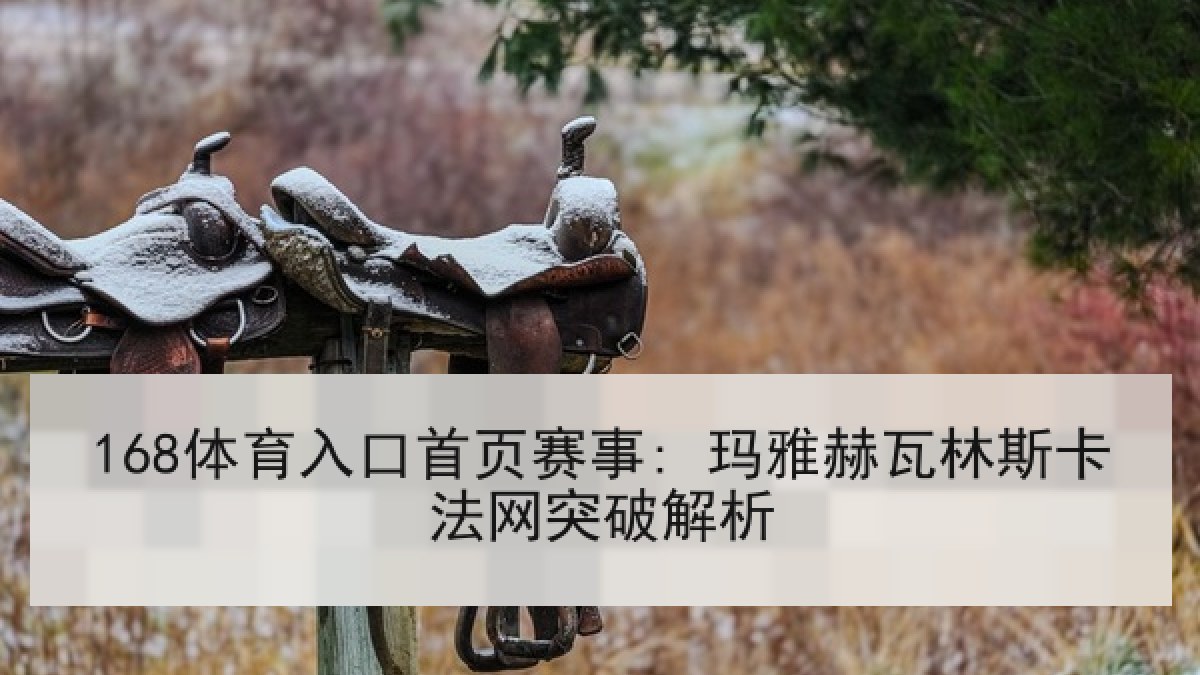 168体育入口首页赛事: 玛雅赫瓦林斯卡法网突破解析